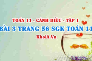 Bài 3 trang 56 SGK Toán 11 tập 1 Cánh Diều